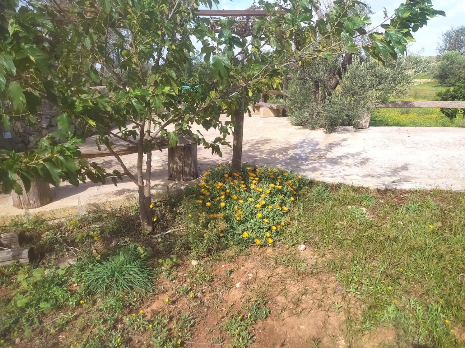 Trullo Contrada Stracca Guest House Alliste Luaran gambar